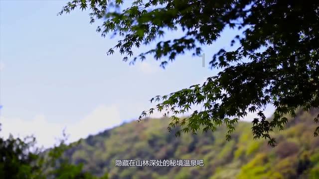 歌单来了！今晚贵阳路边音乐会·青云等你来嗨