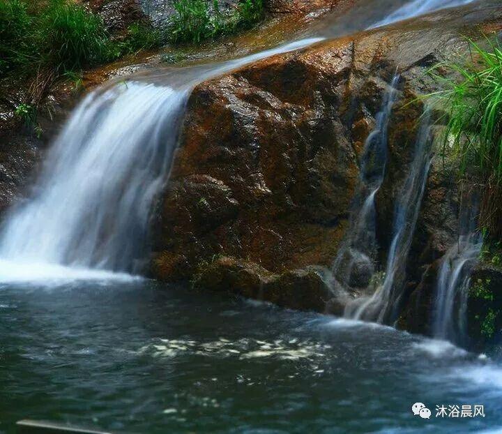 救援受困的长颈鹿